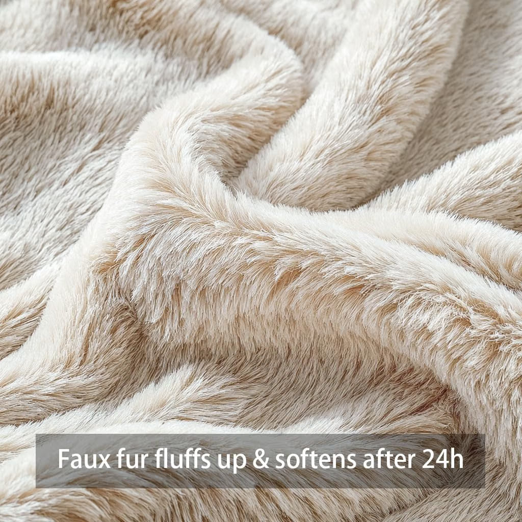 Pumpkin Pillow Covers