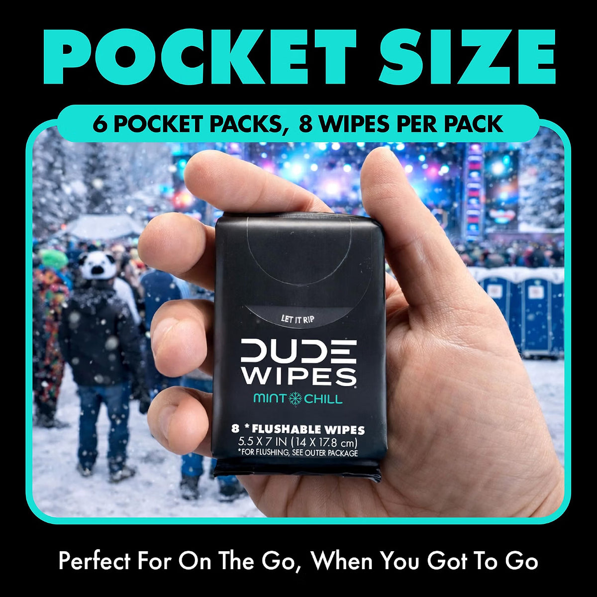 DUDE Wipes Mint Chill Pocket Packs – Flushable Travel Wipes, 48 Count