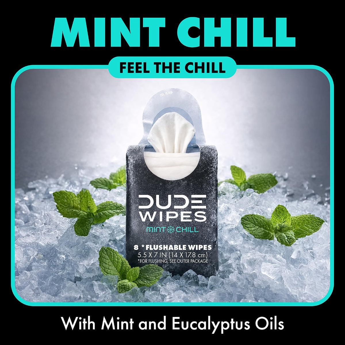 DUDE Wipes Mint Chill Pocket Packs – Flushable Travel Wipes, 48 Count